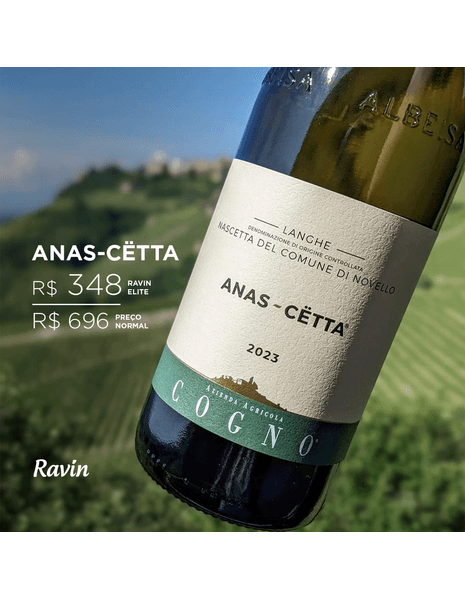 criativos_feed_anas cetta